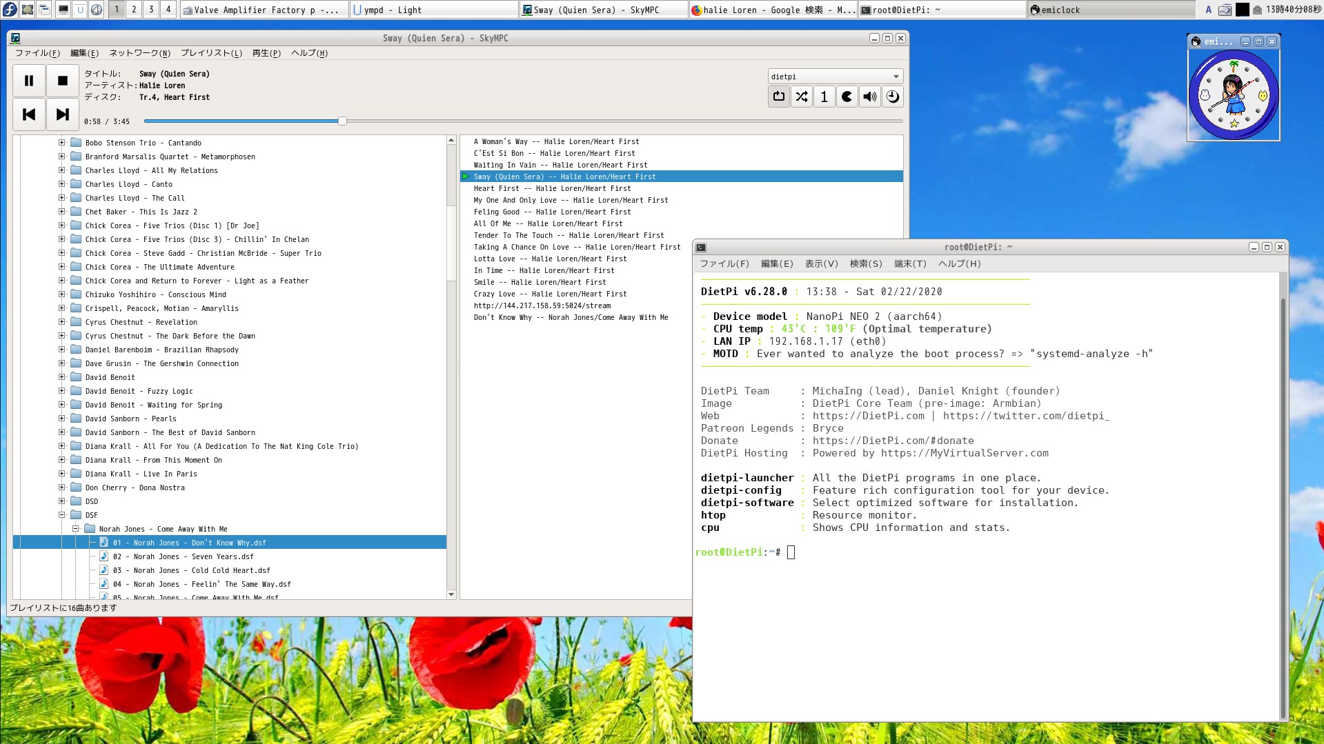 dietpi install